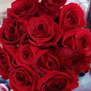 Meet your Posher, Sue